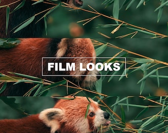 Etsy product cover for Z CAM E2 cinematic LUTs from Thiago Vibesp